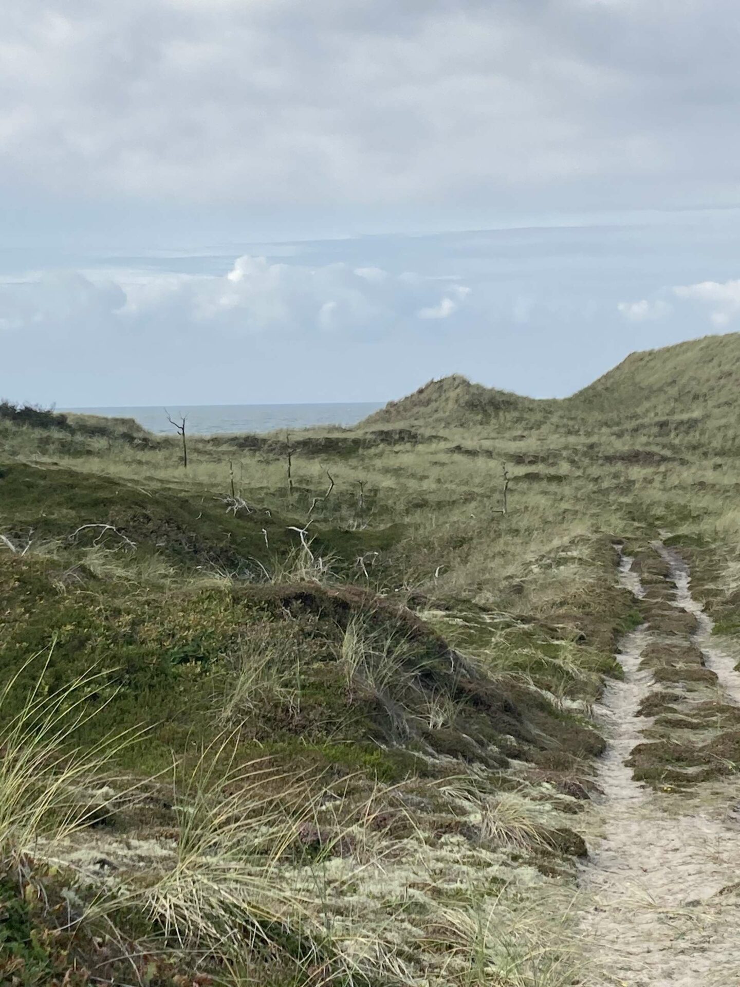 Bøgsted Rende in Jutland (Denemarken)