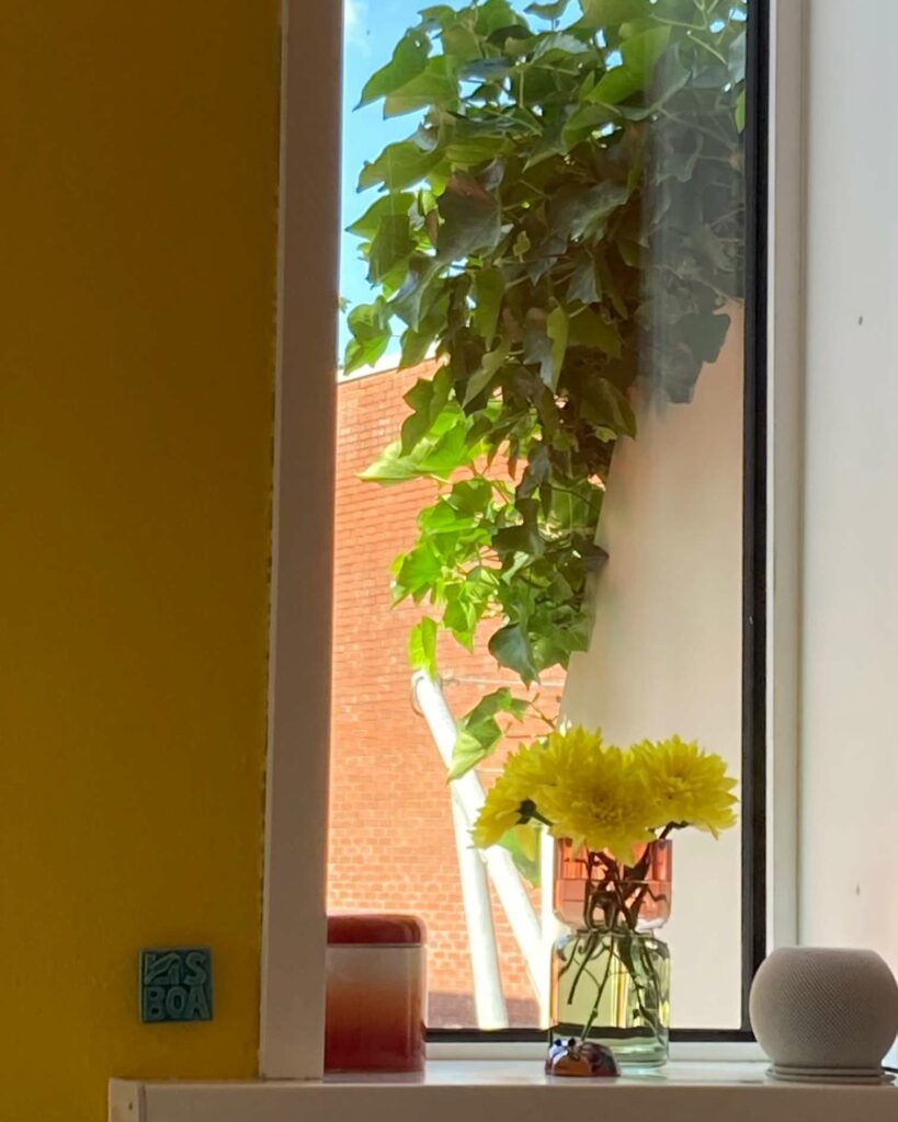 keukenraam met blik op en afscheiding op een balkon en een groene plant