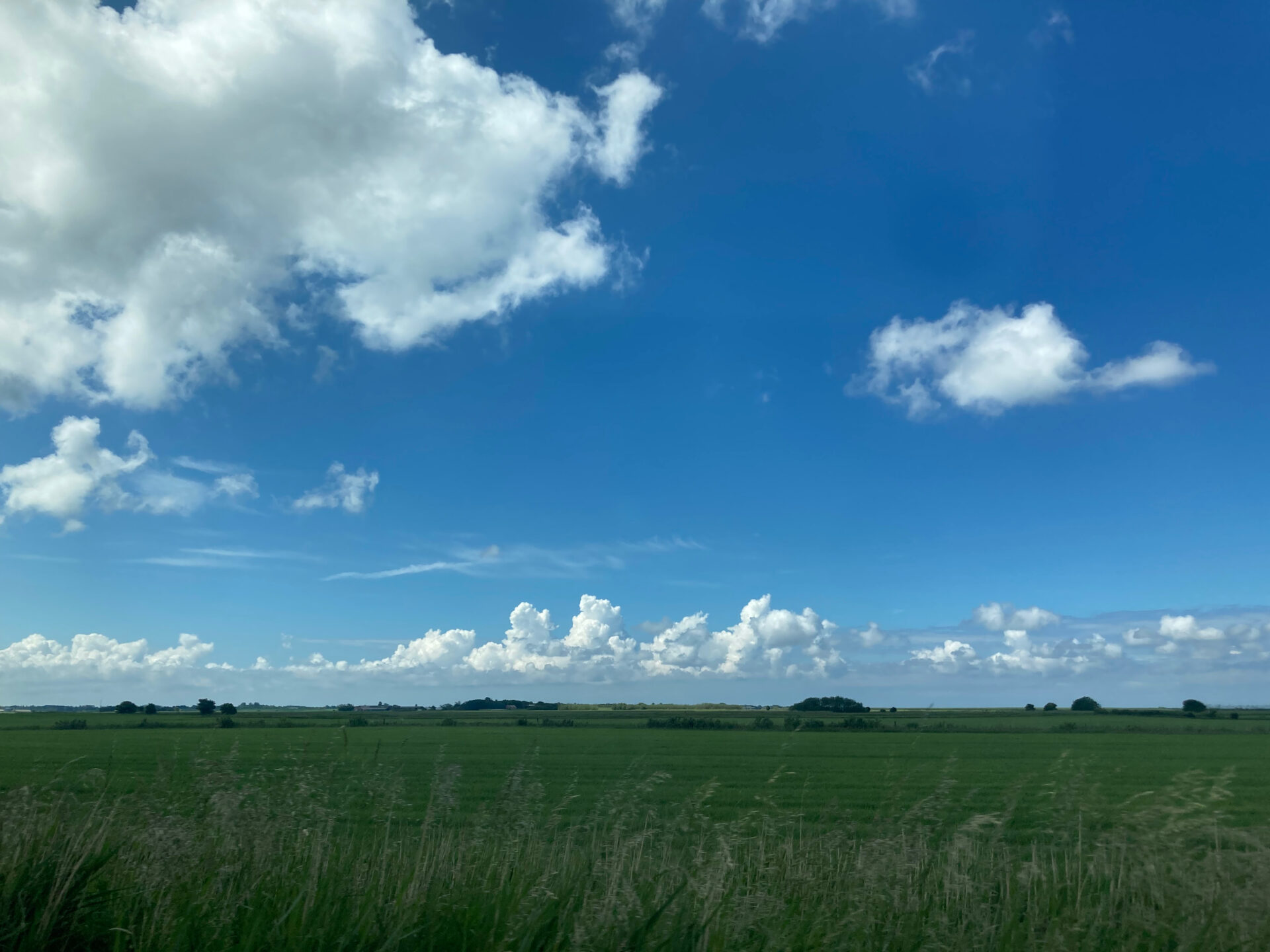 Groen gras met een blauwe hemel en witte wolkjes