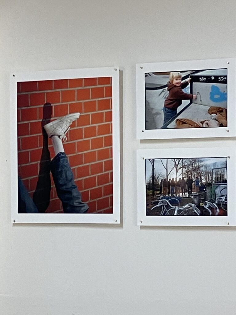 Drie foto's van de tentoonstelling Mycelium van Hobbe Hollands